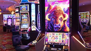 open88a1 Live Casino